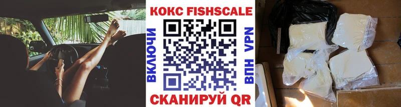 Купить  Котлас  COCAIN Fish Scale 