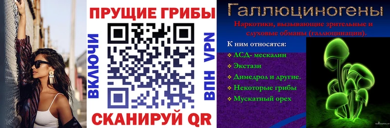 Галлюциногенные грибы MAGIC MUSHROOMS  Купить  Котлас 